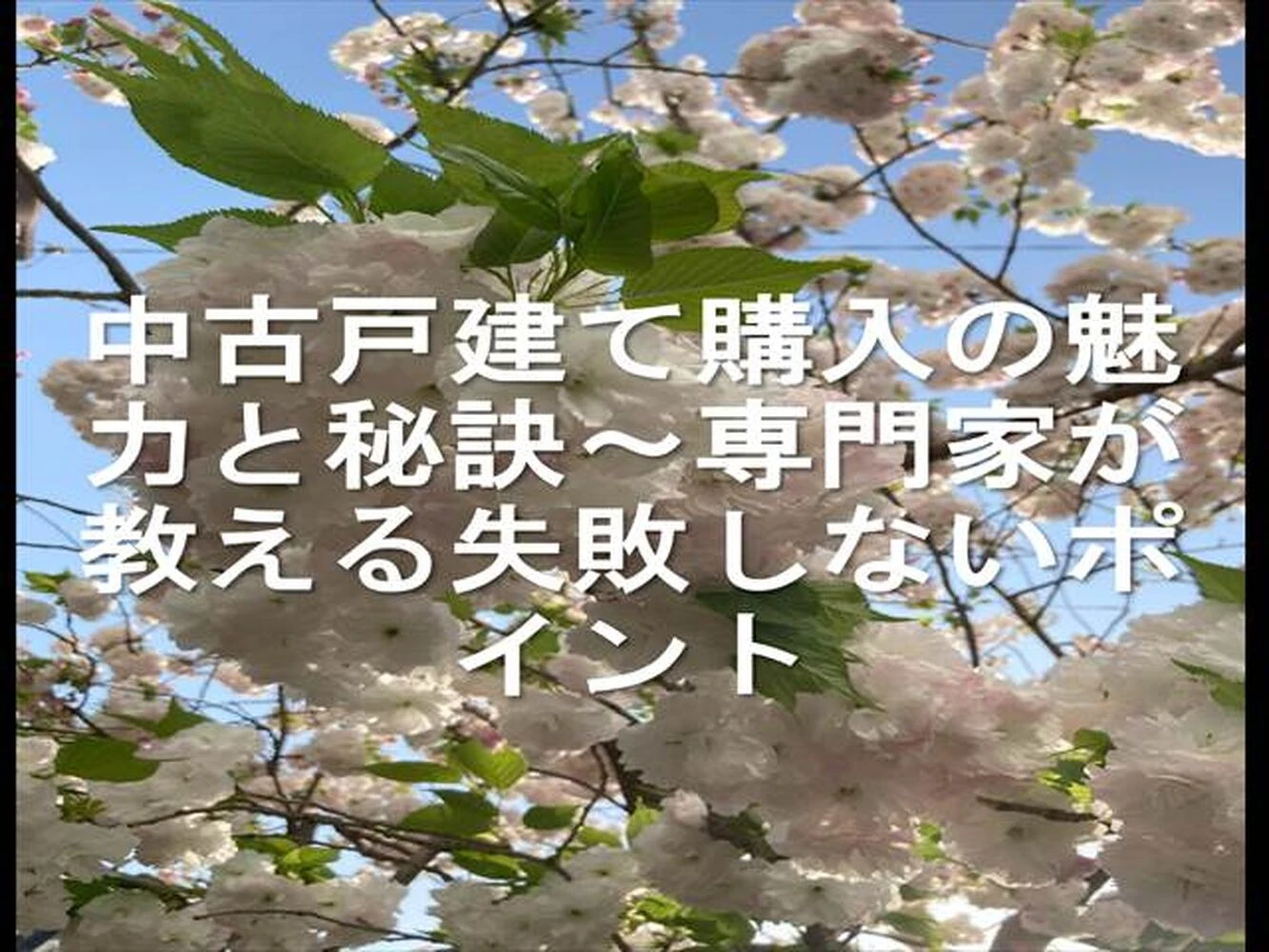 画像23687