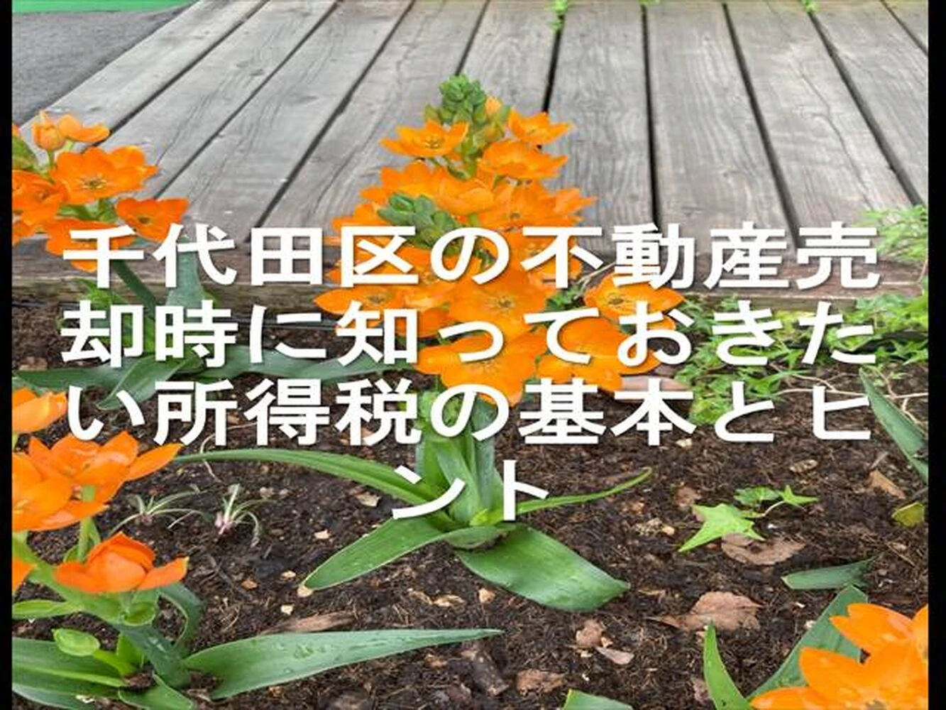 画像23926