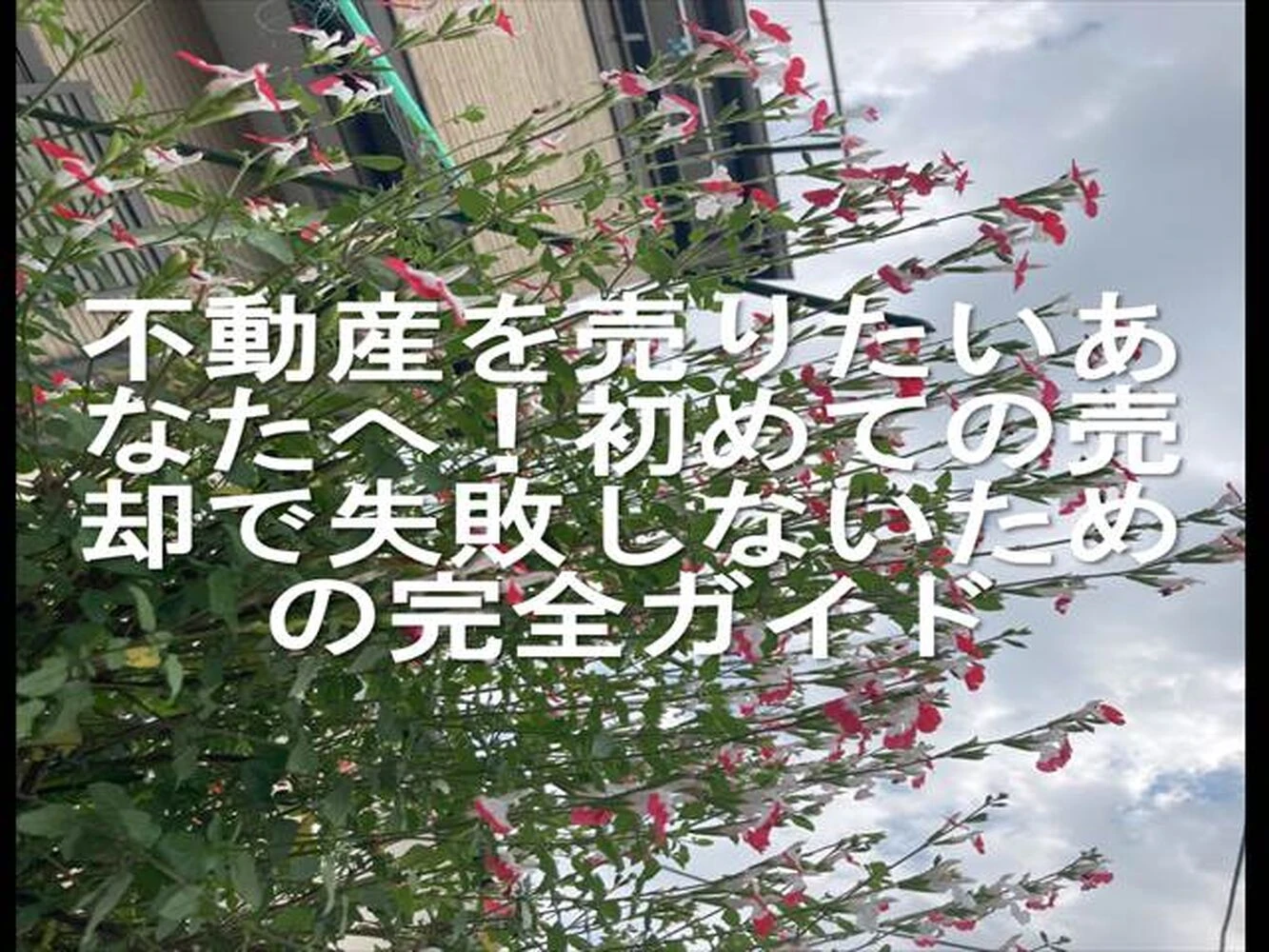 画像24180