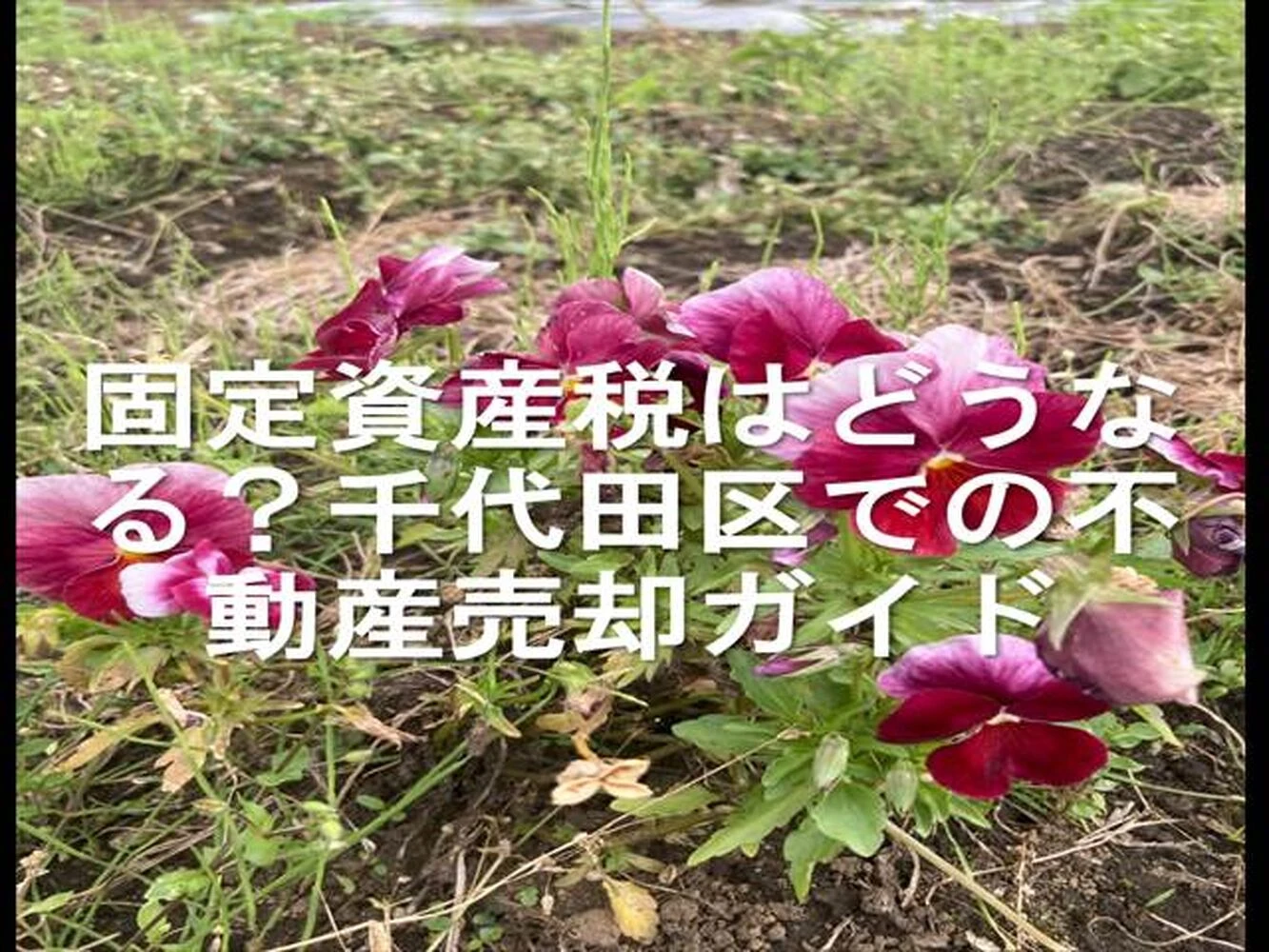 画像24197