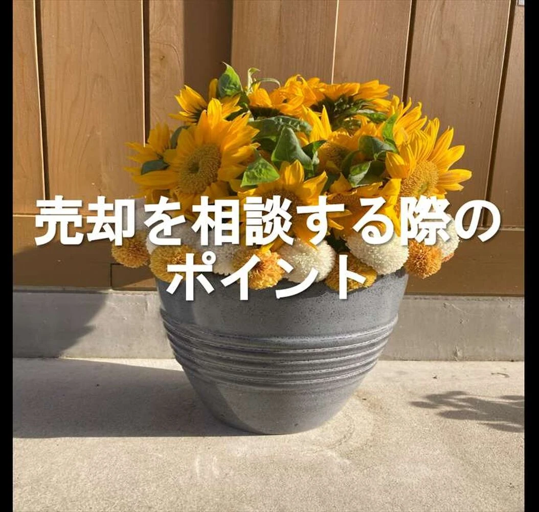 画像2423