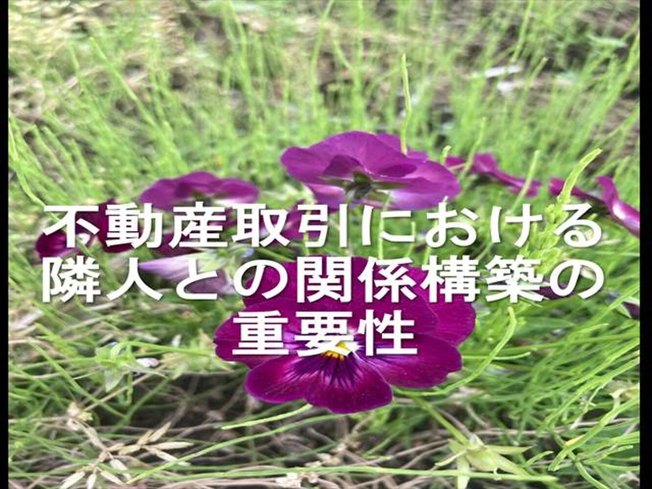 ブログ画像