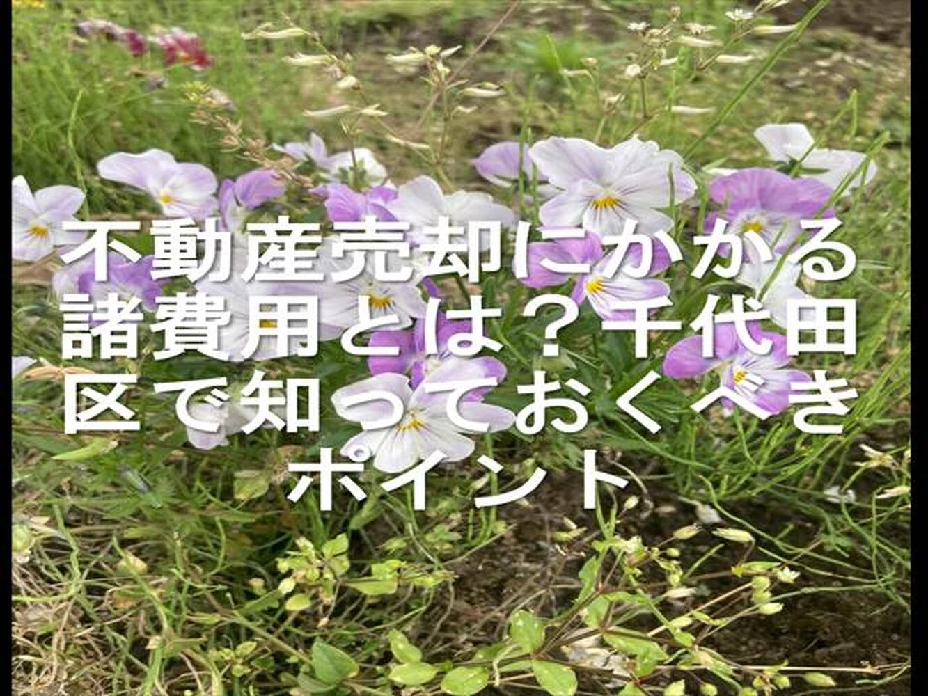 画像24286