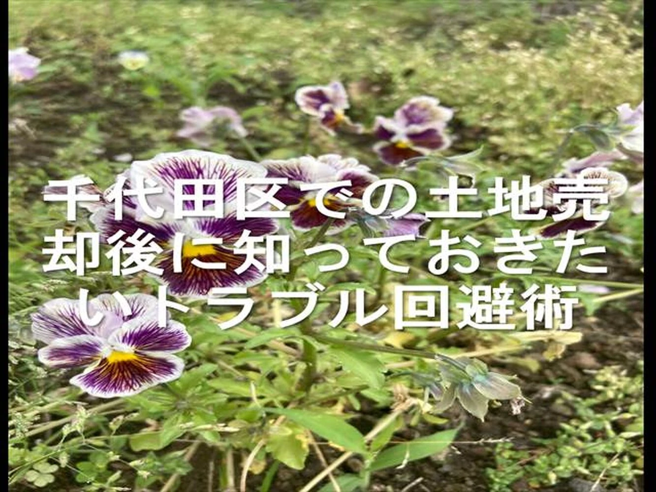 画像24362