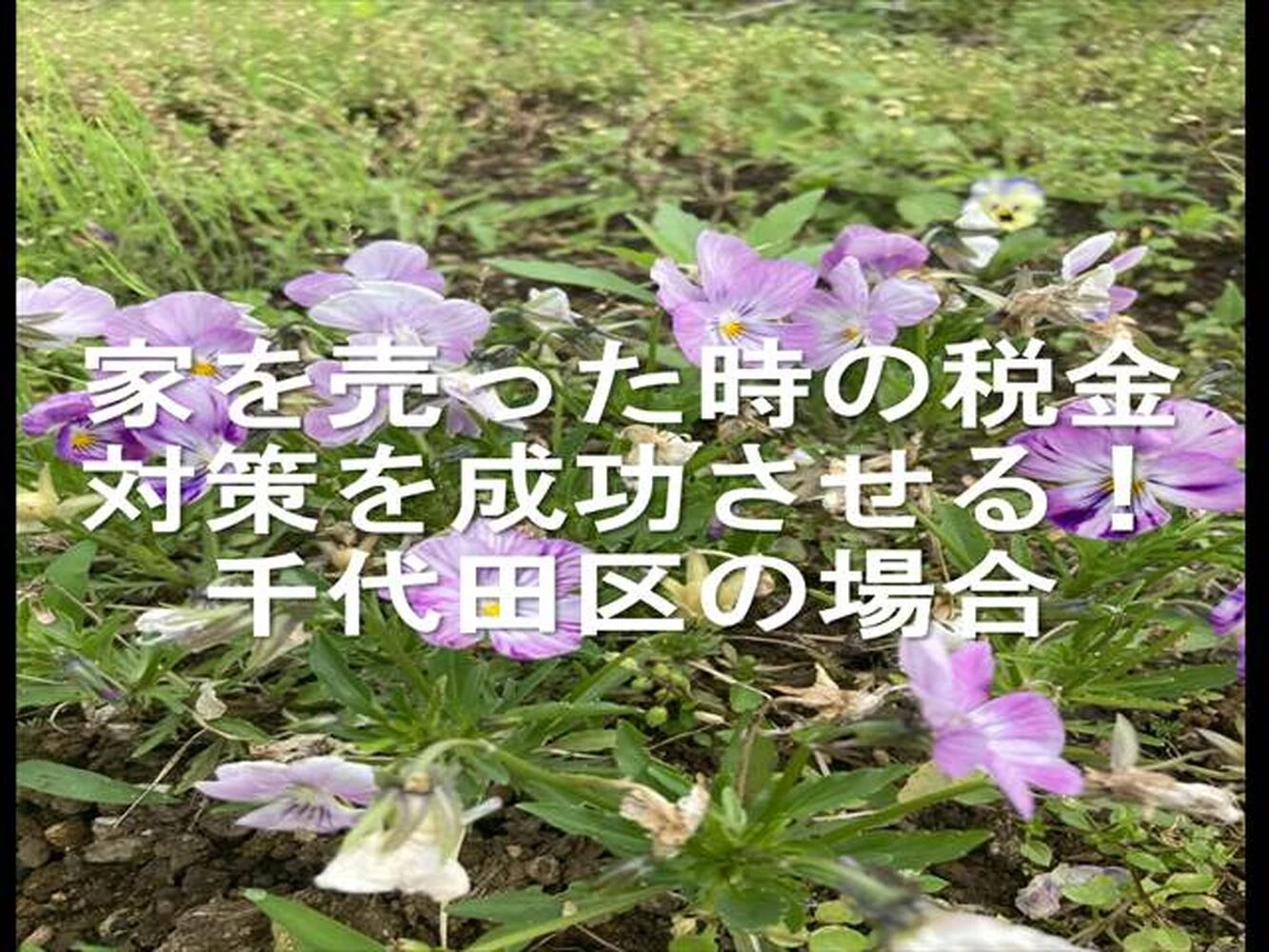 画像24371