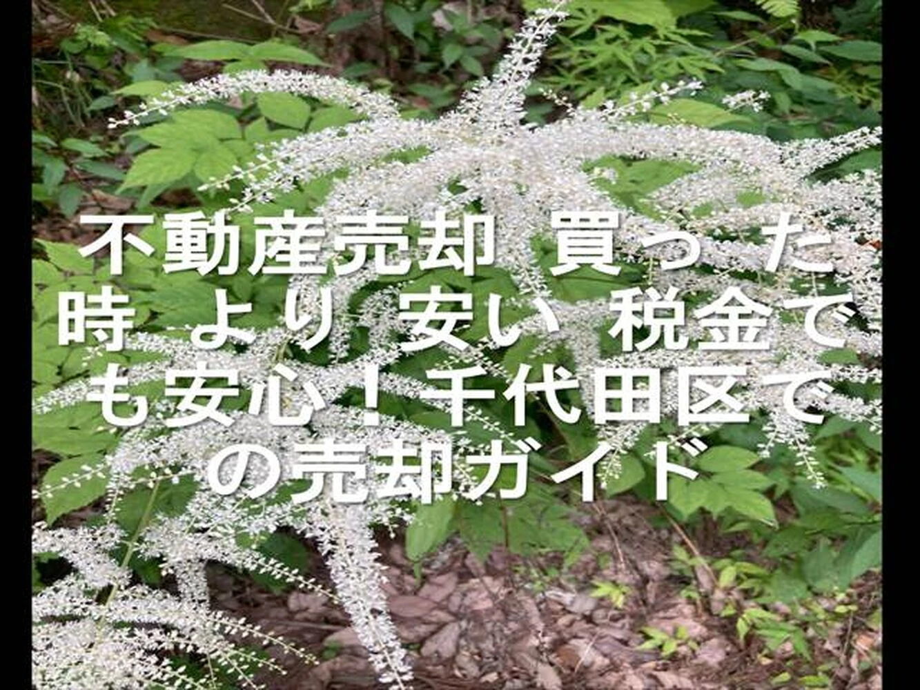 画像24380