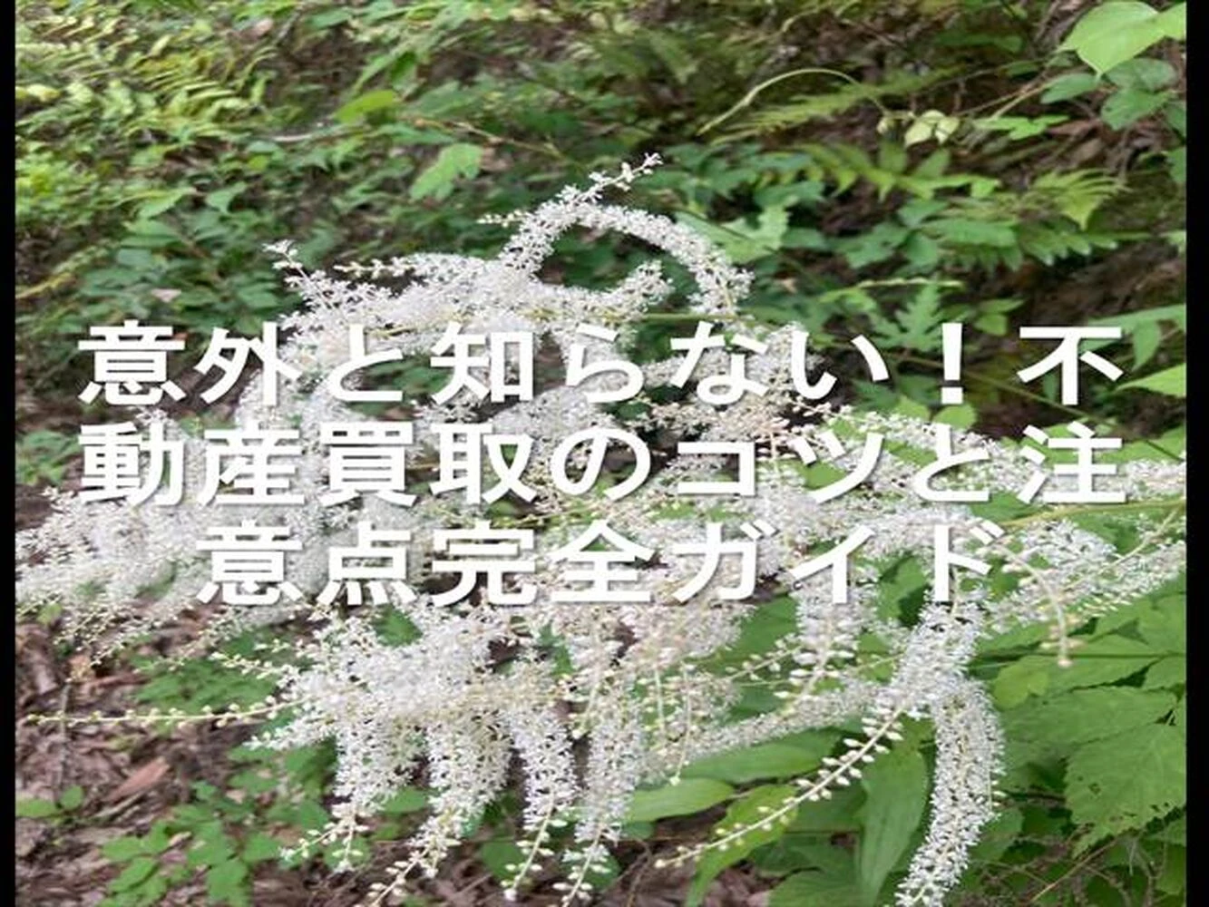 画像24646