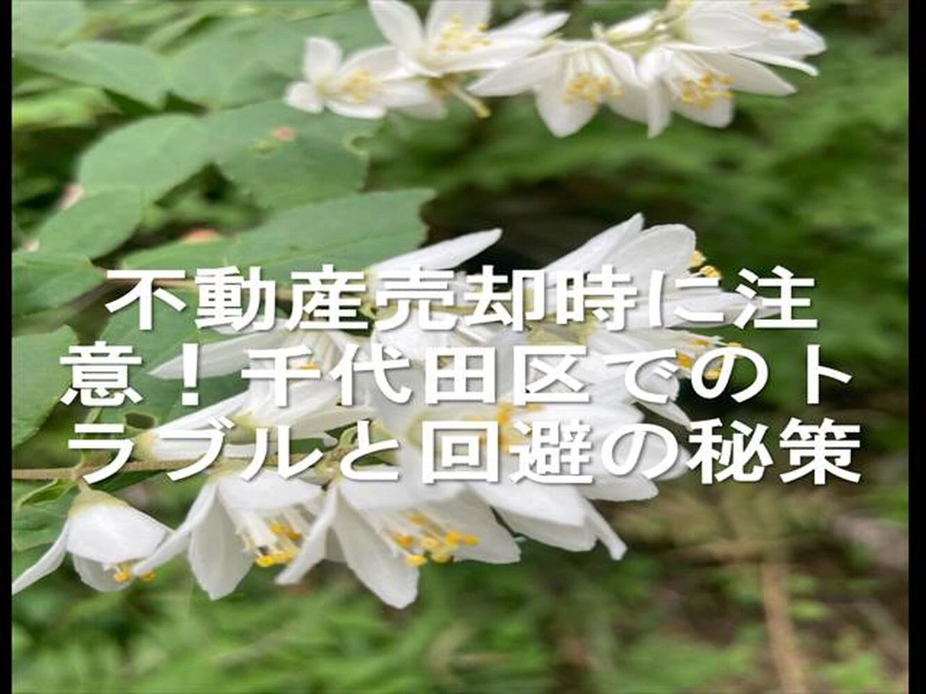 画像24897
