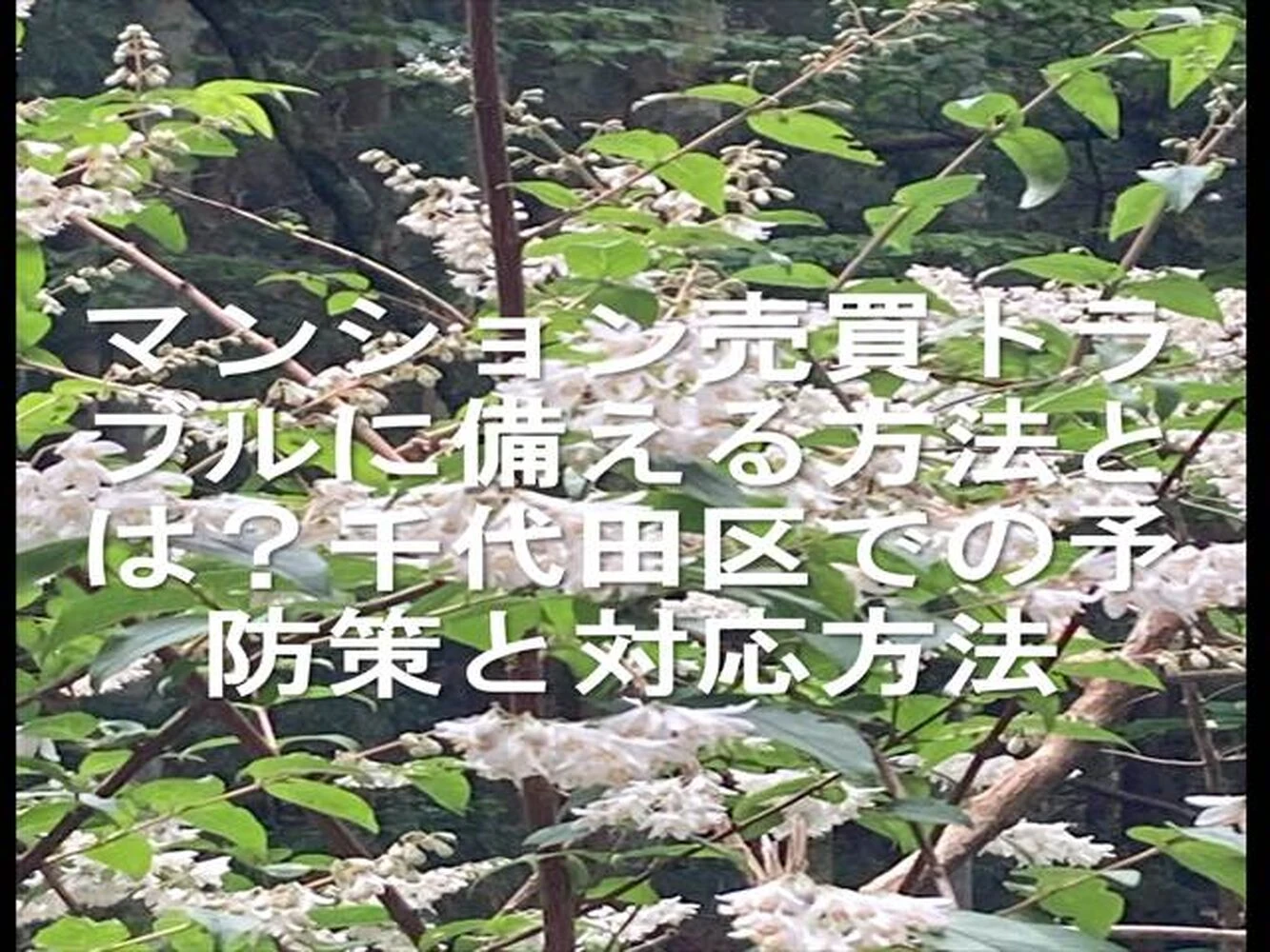 画像25002