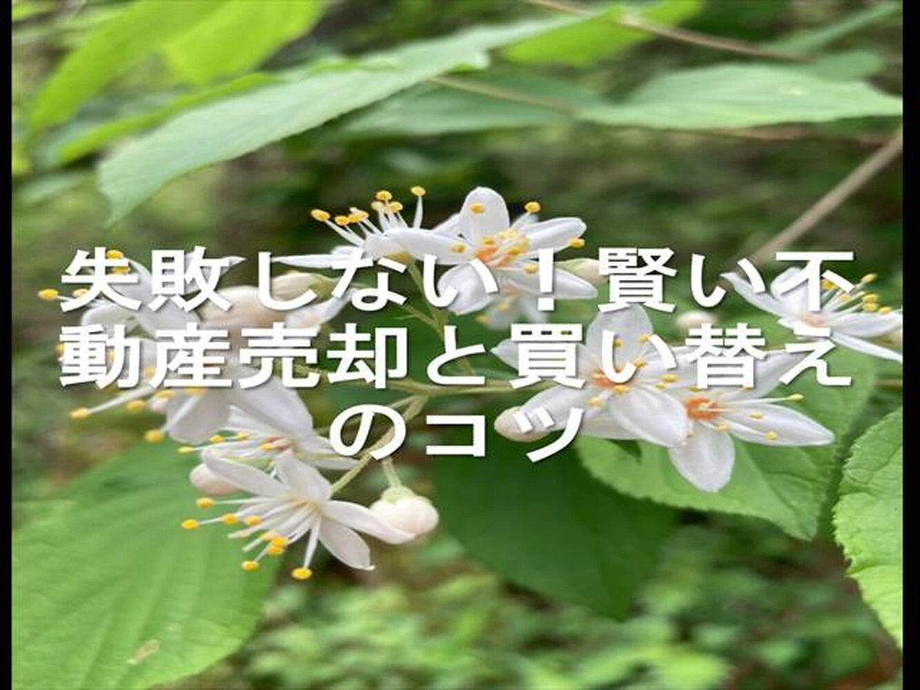 画像25011