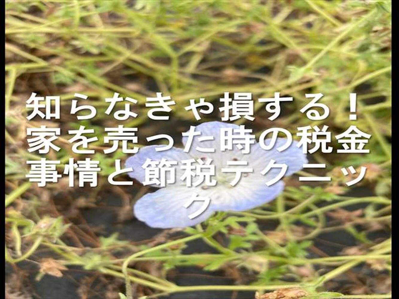 画像25044