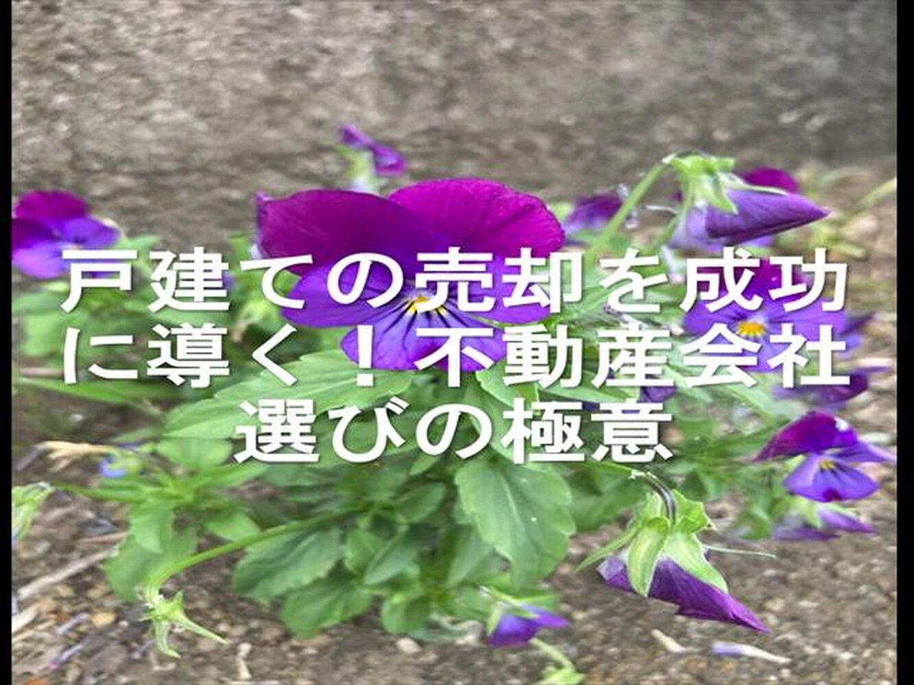 画像25045