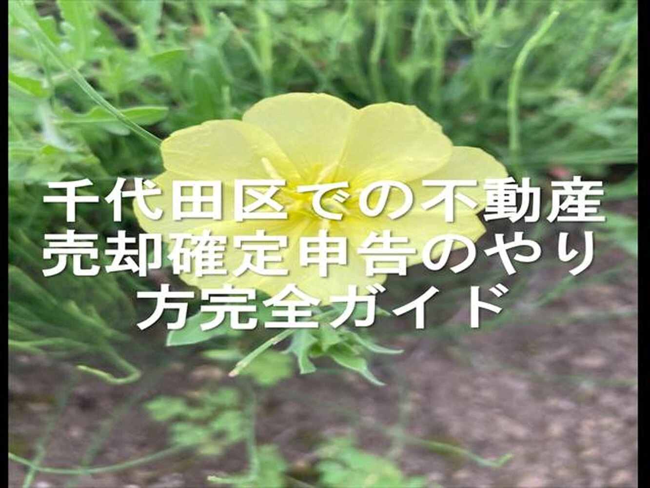 画像25054