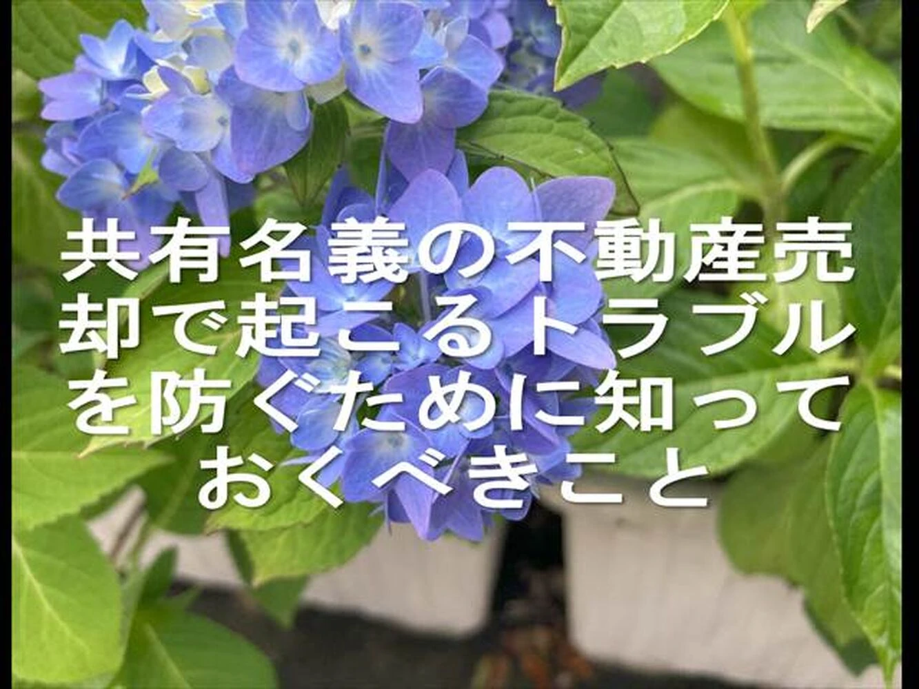 画像25192