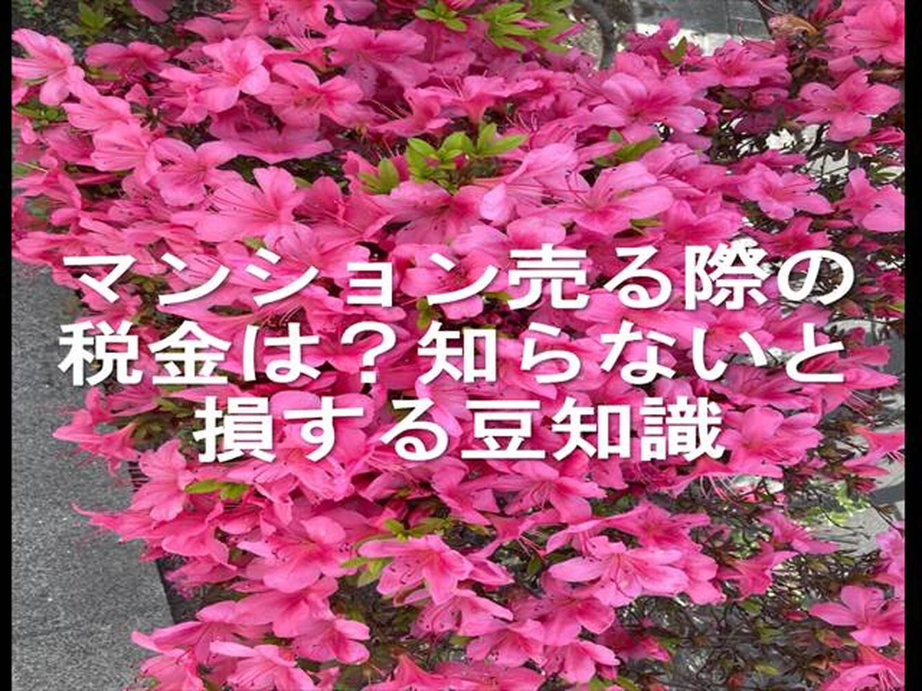 画像25225
