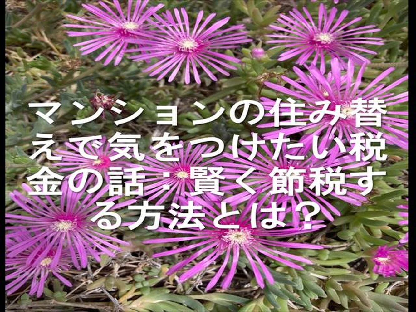 画像25235