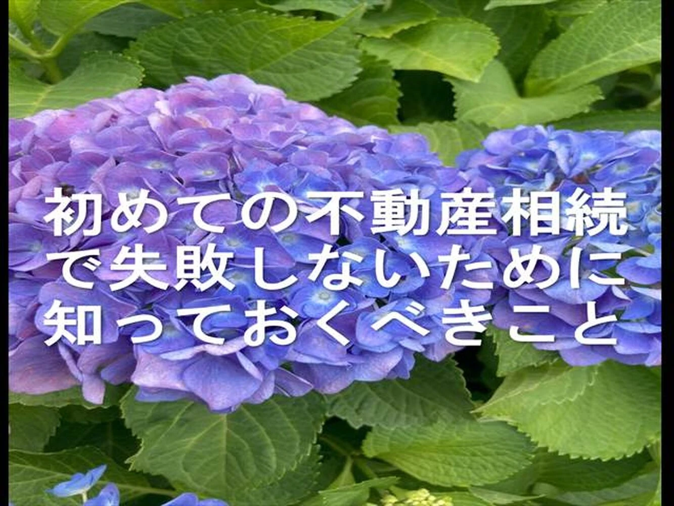 画像25342