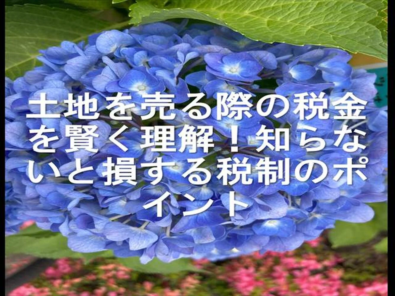 画像25534