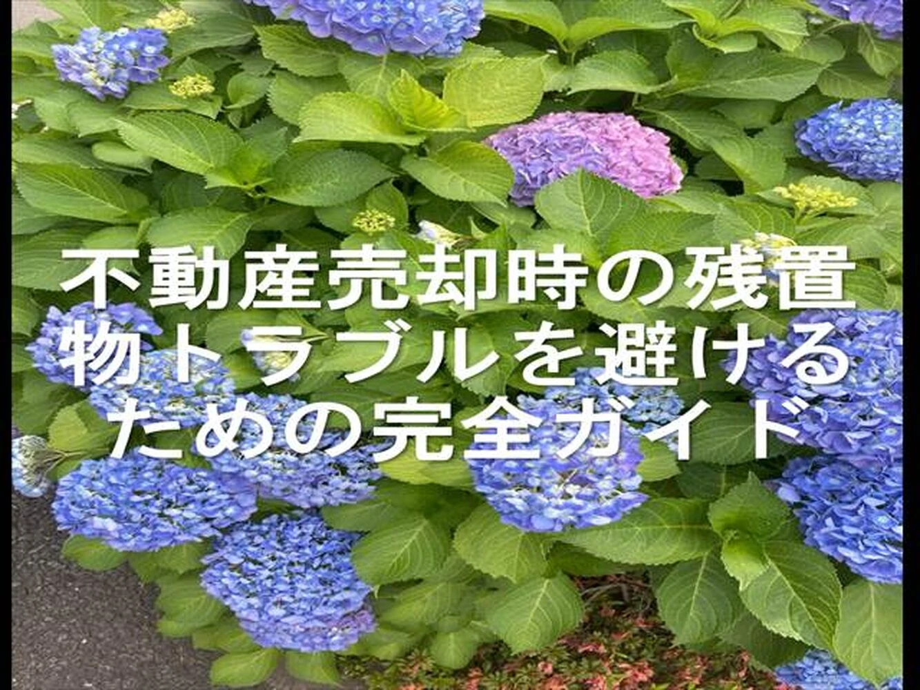画像25551