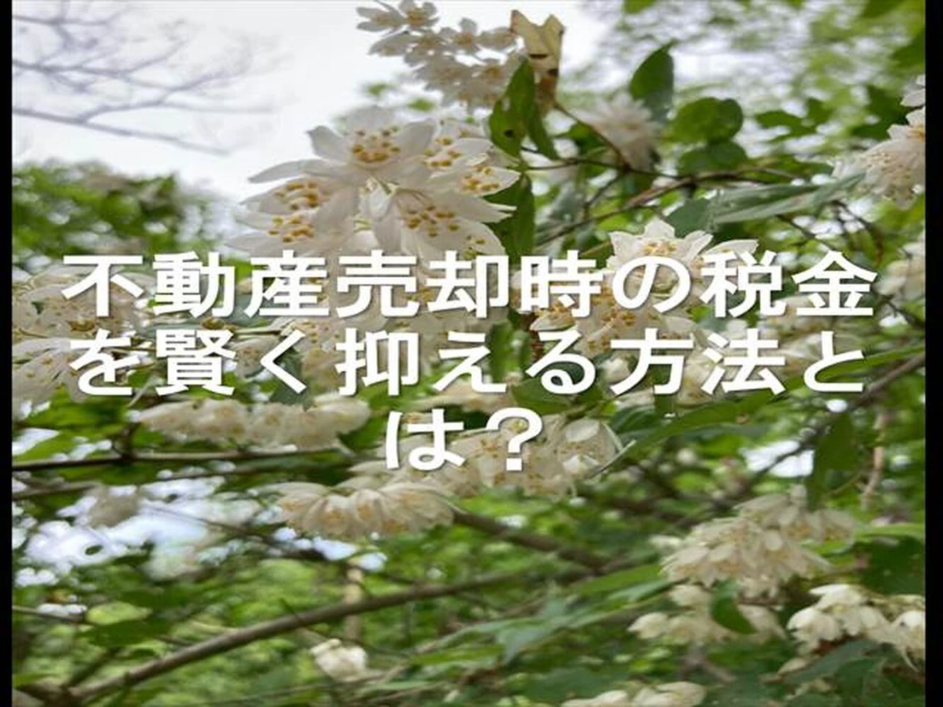 画像25559
