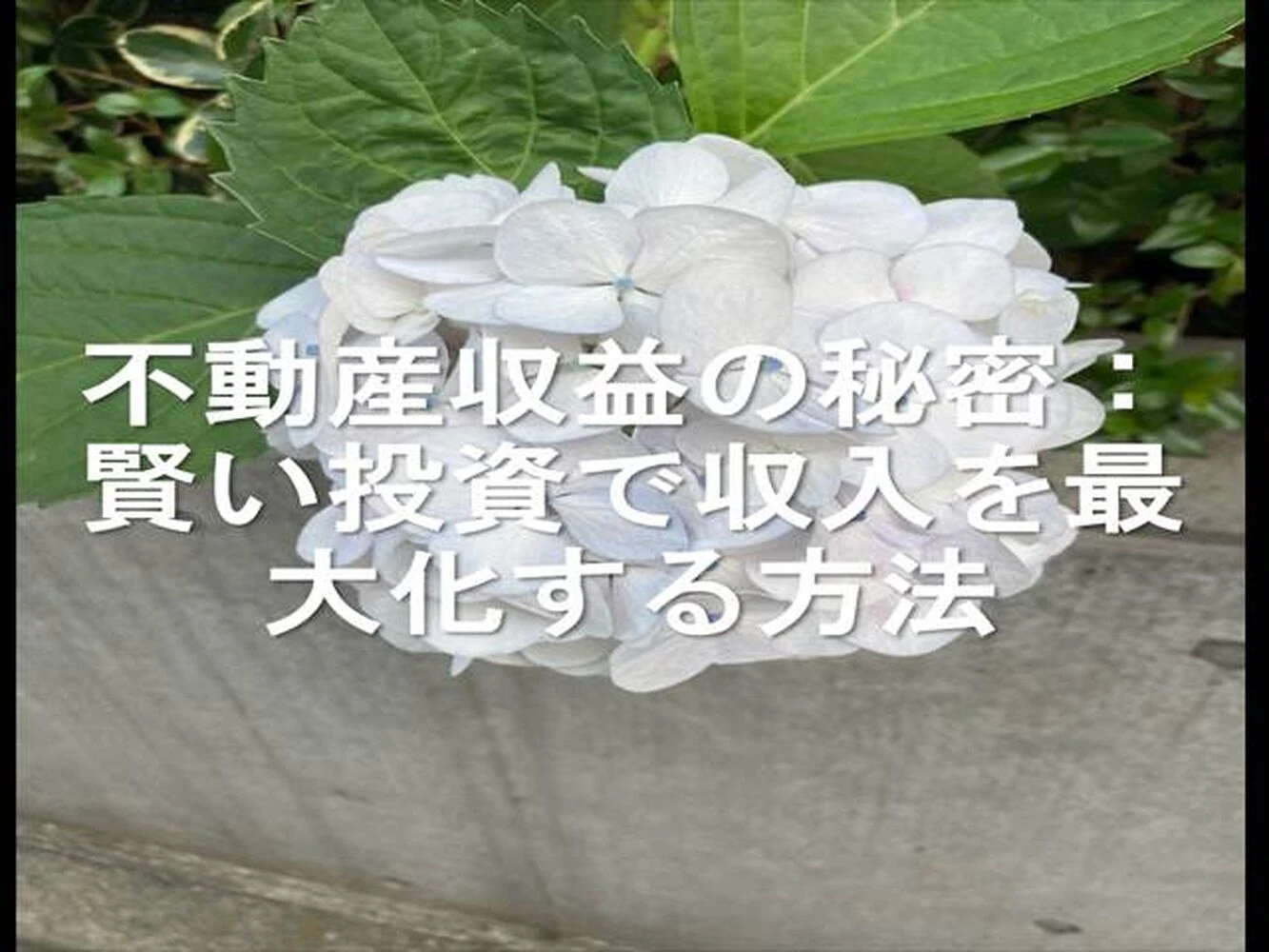 画像25568