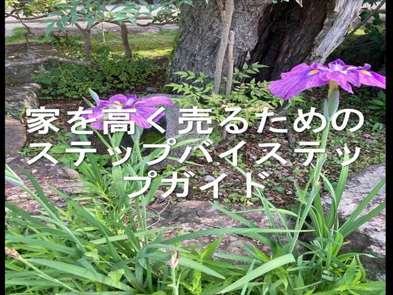 画像25900