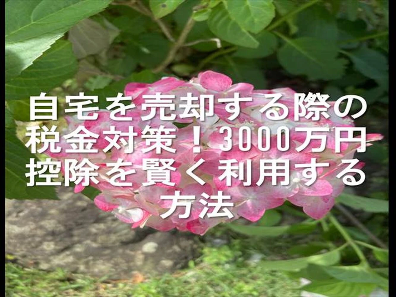 画像25909