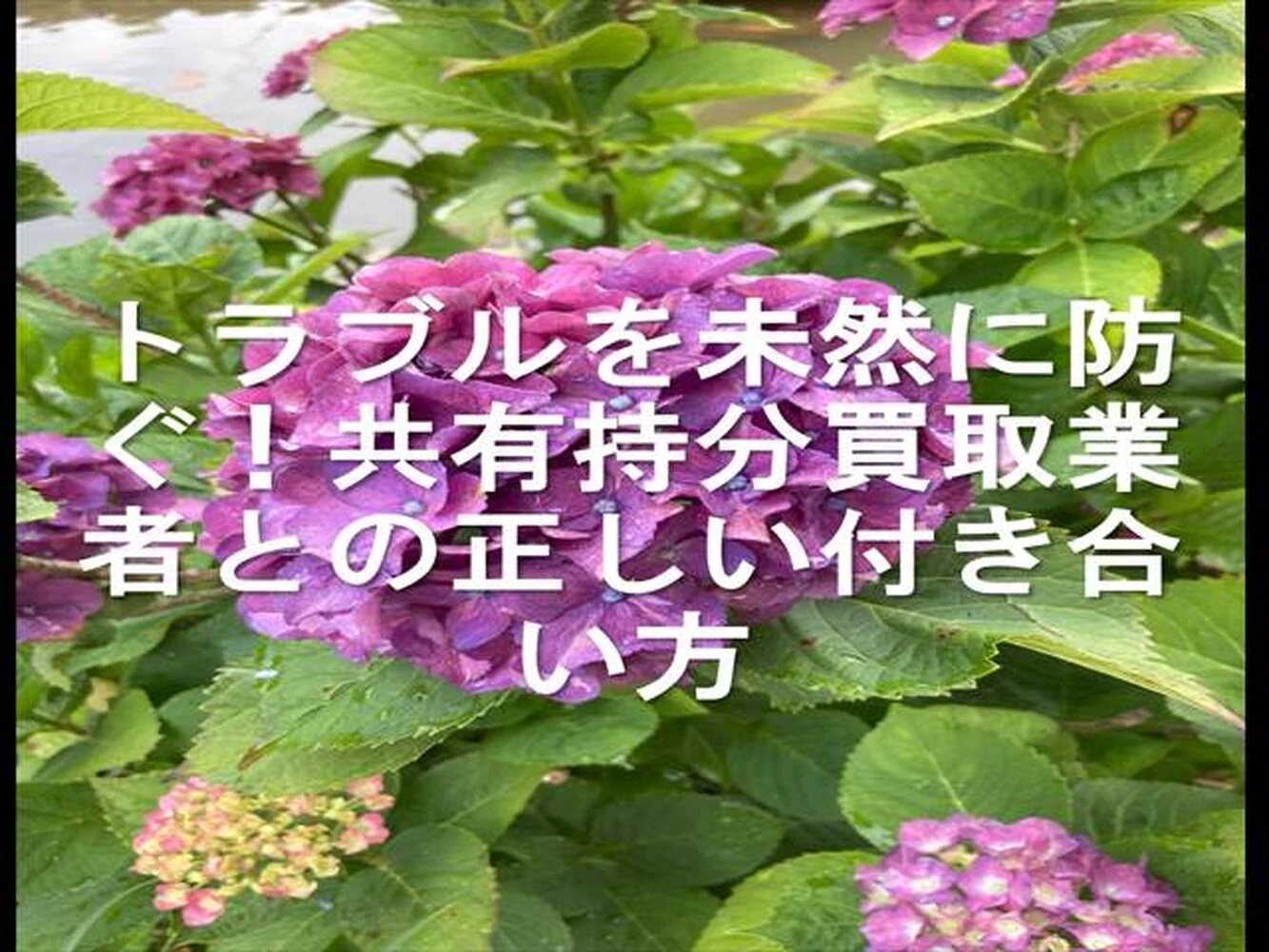 画像25918