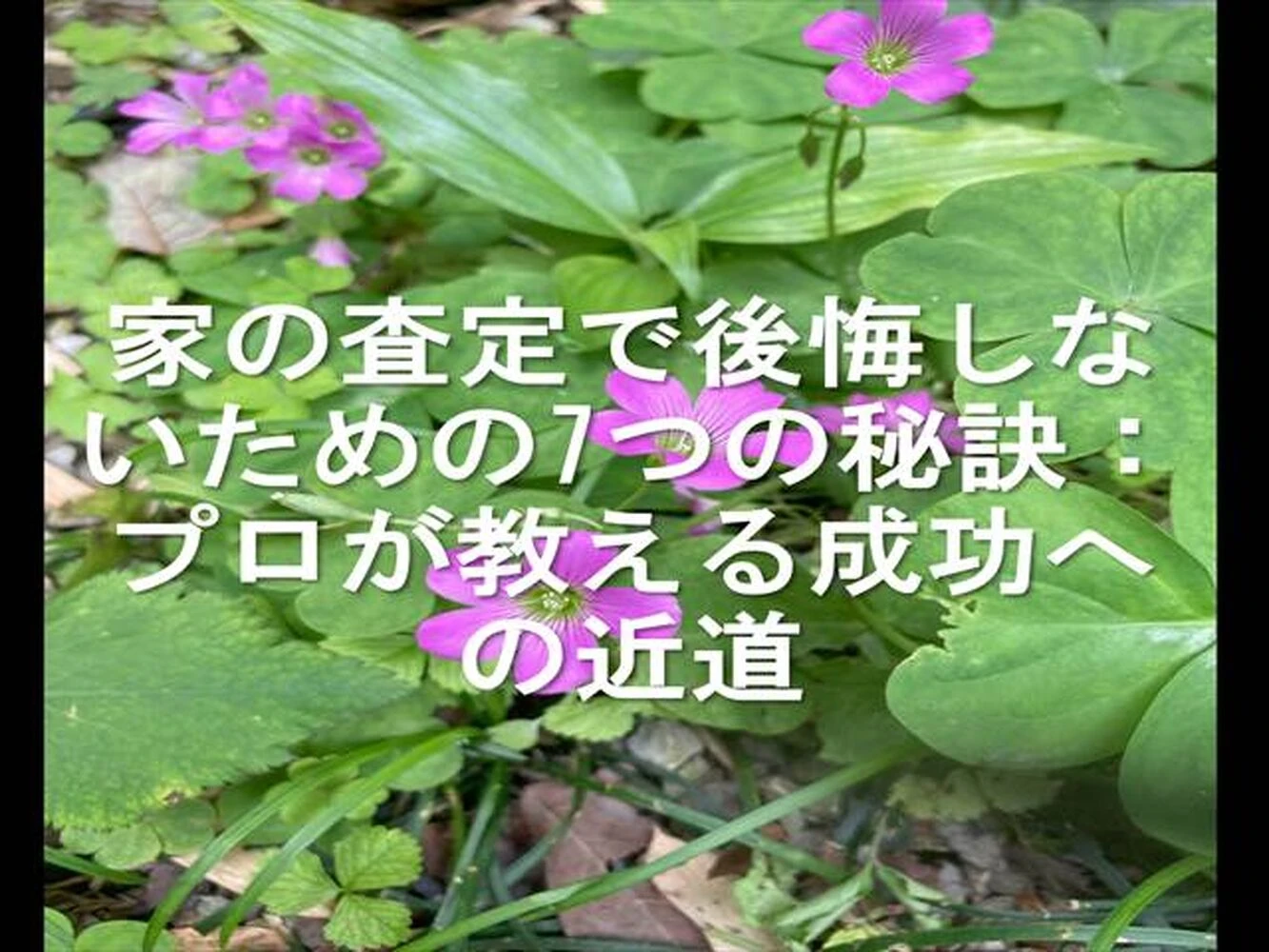 画像25927
