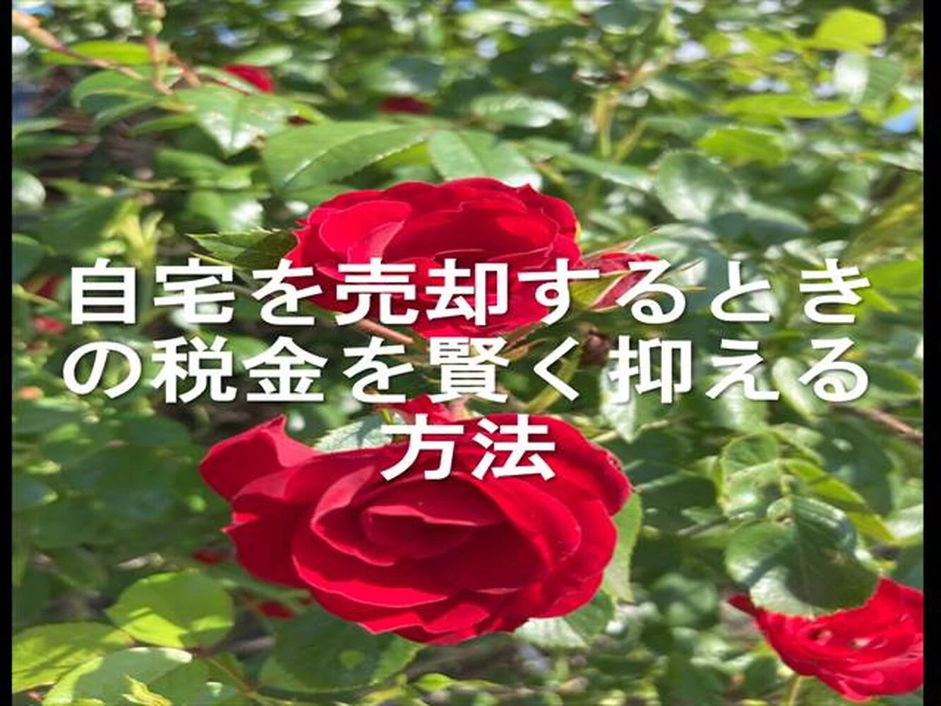 画像26017