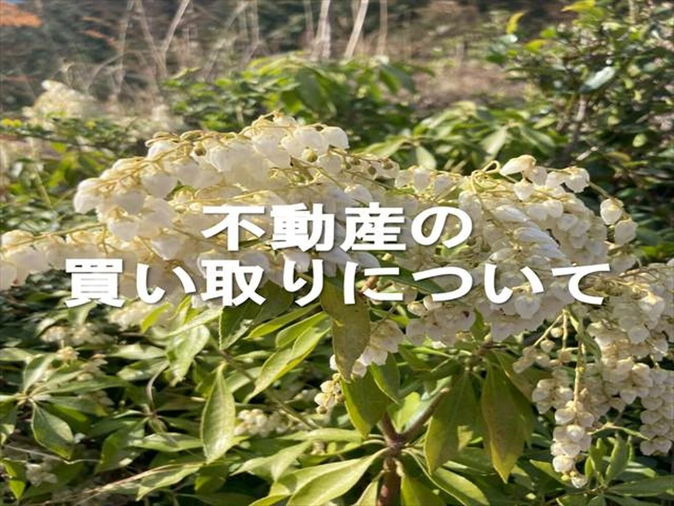 画像3537