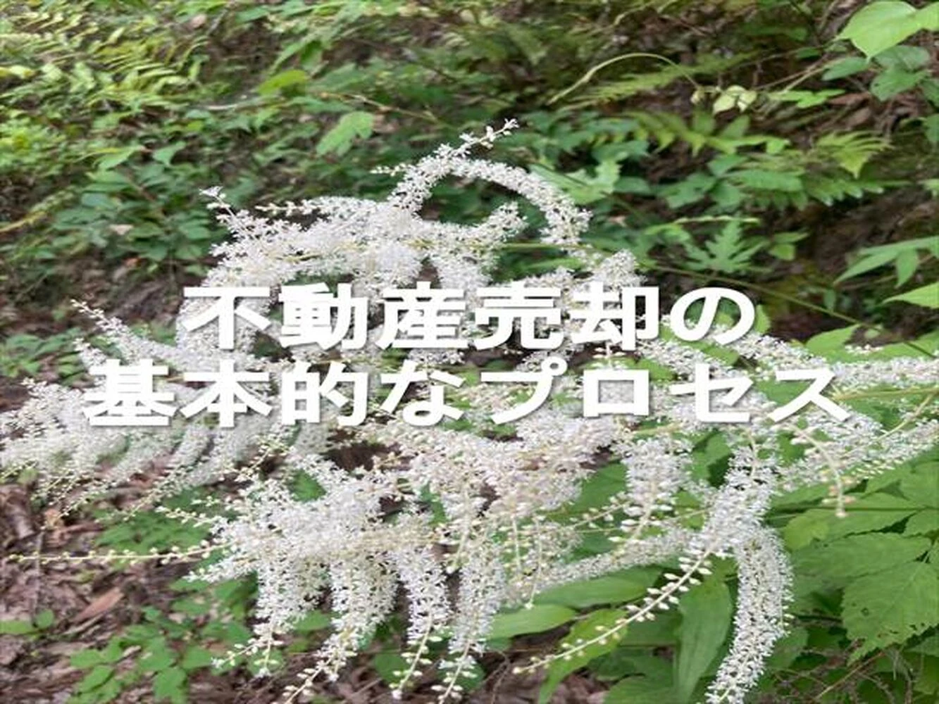 画像3604