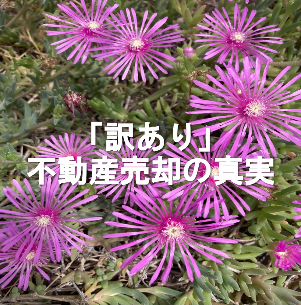 画像3664