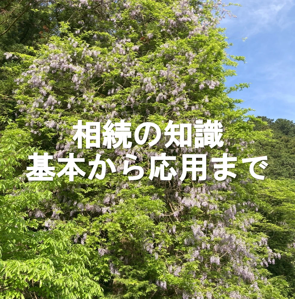 画像3735