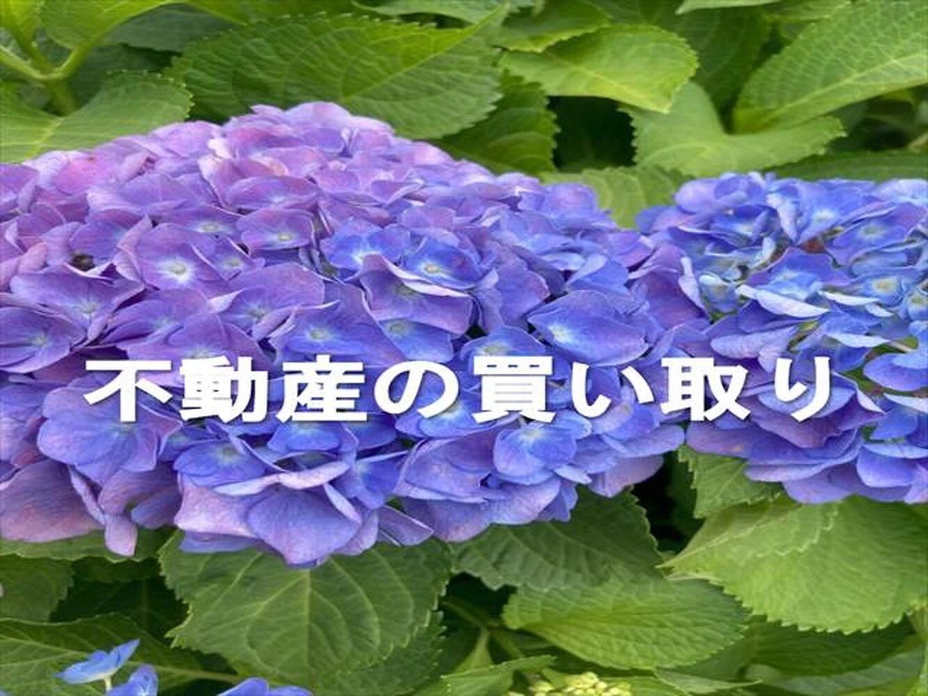 画像3789