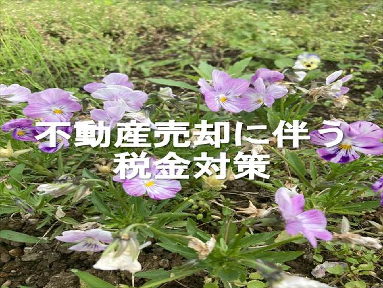 画像3939