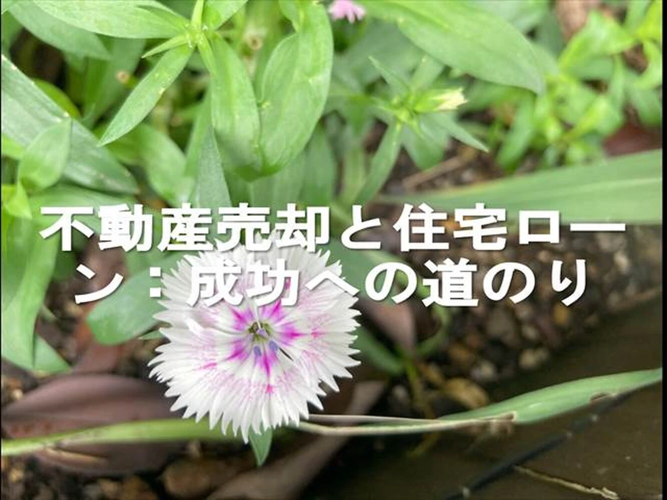 画像5629