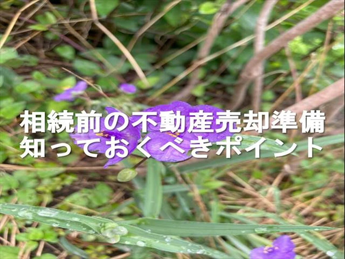 画像6045