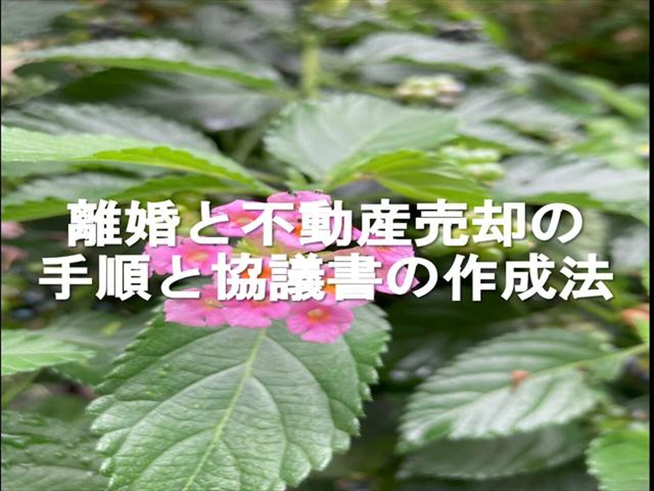 画像6050