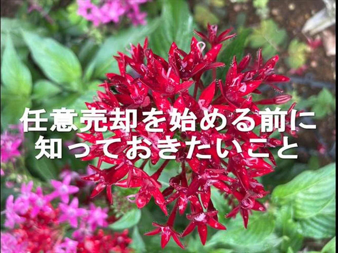 画像6393