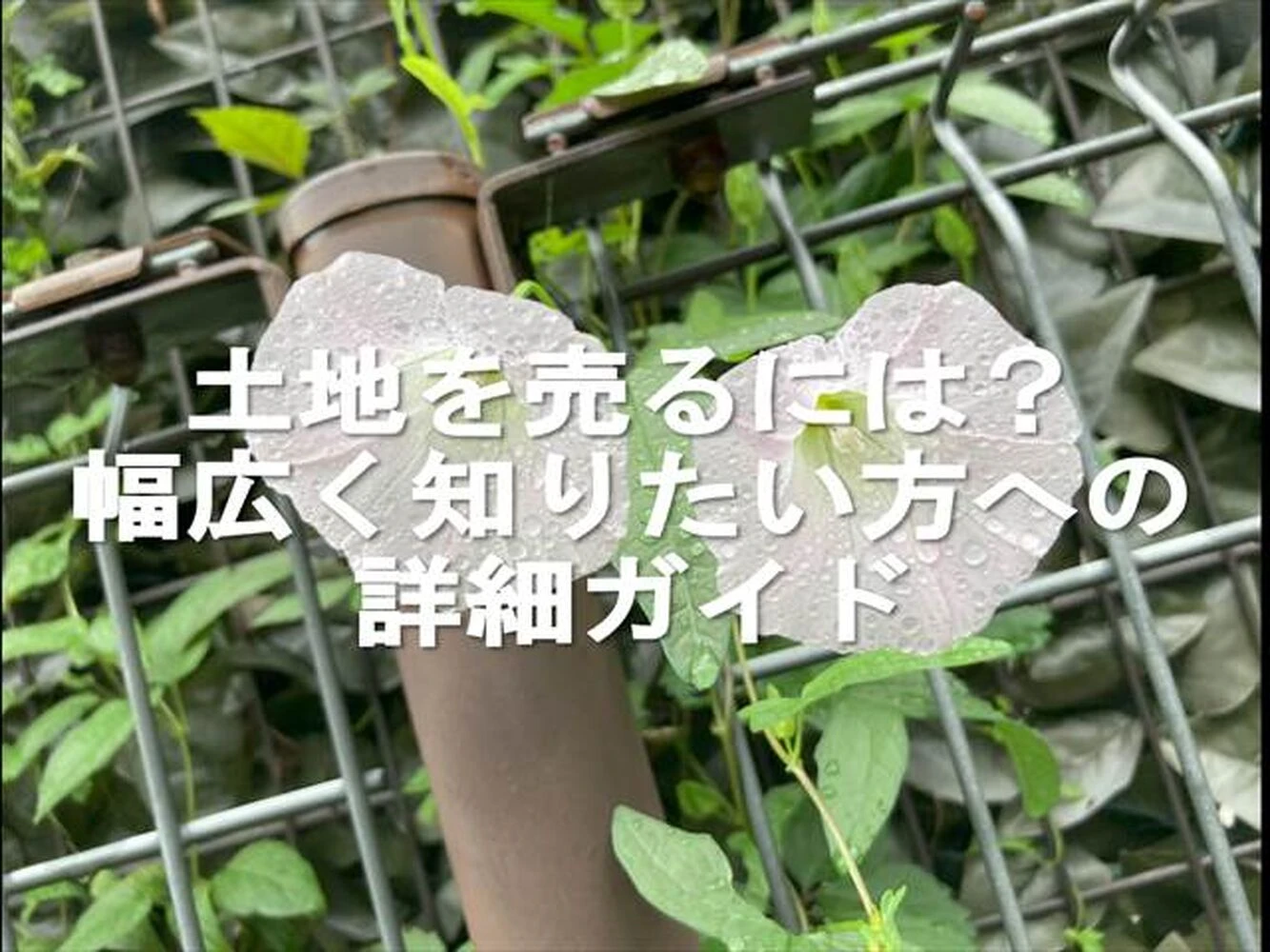 画像6506