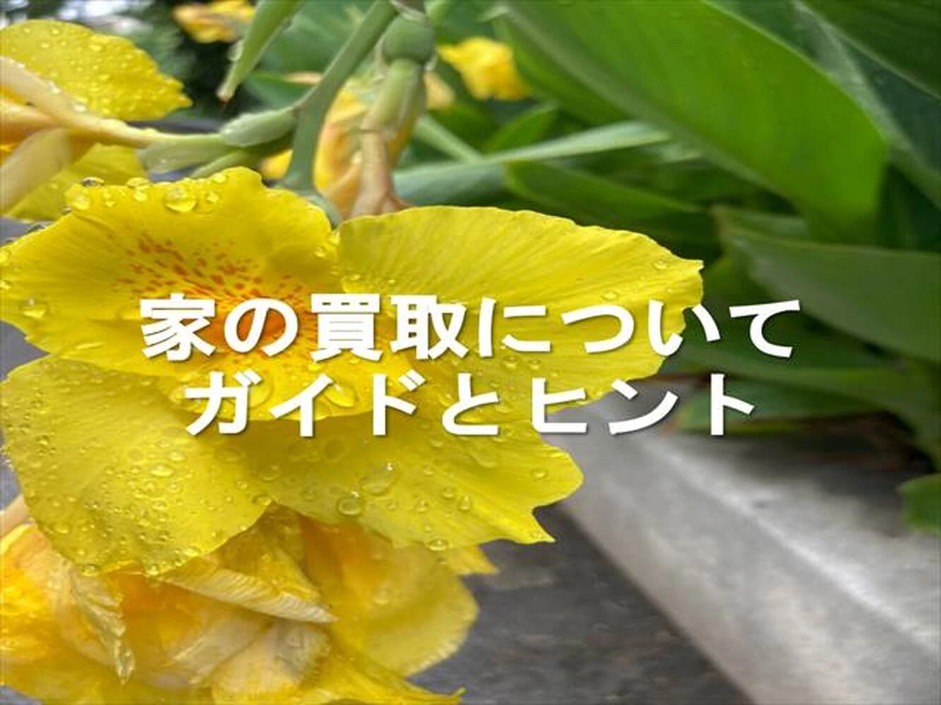 画像6574