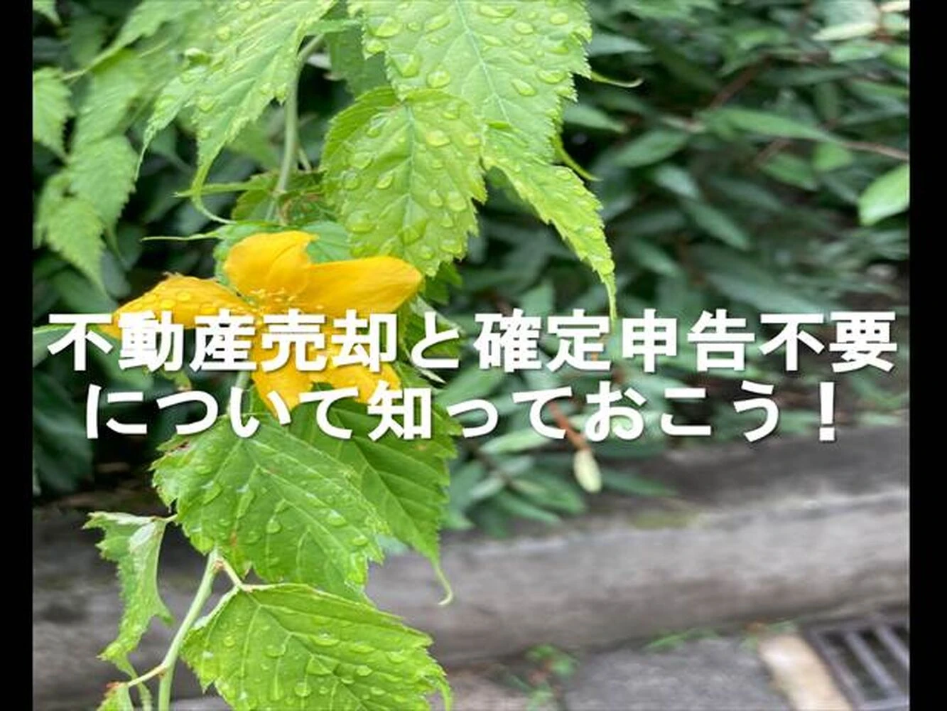 画像6612