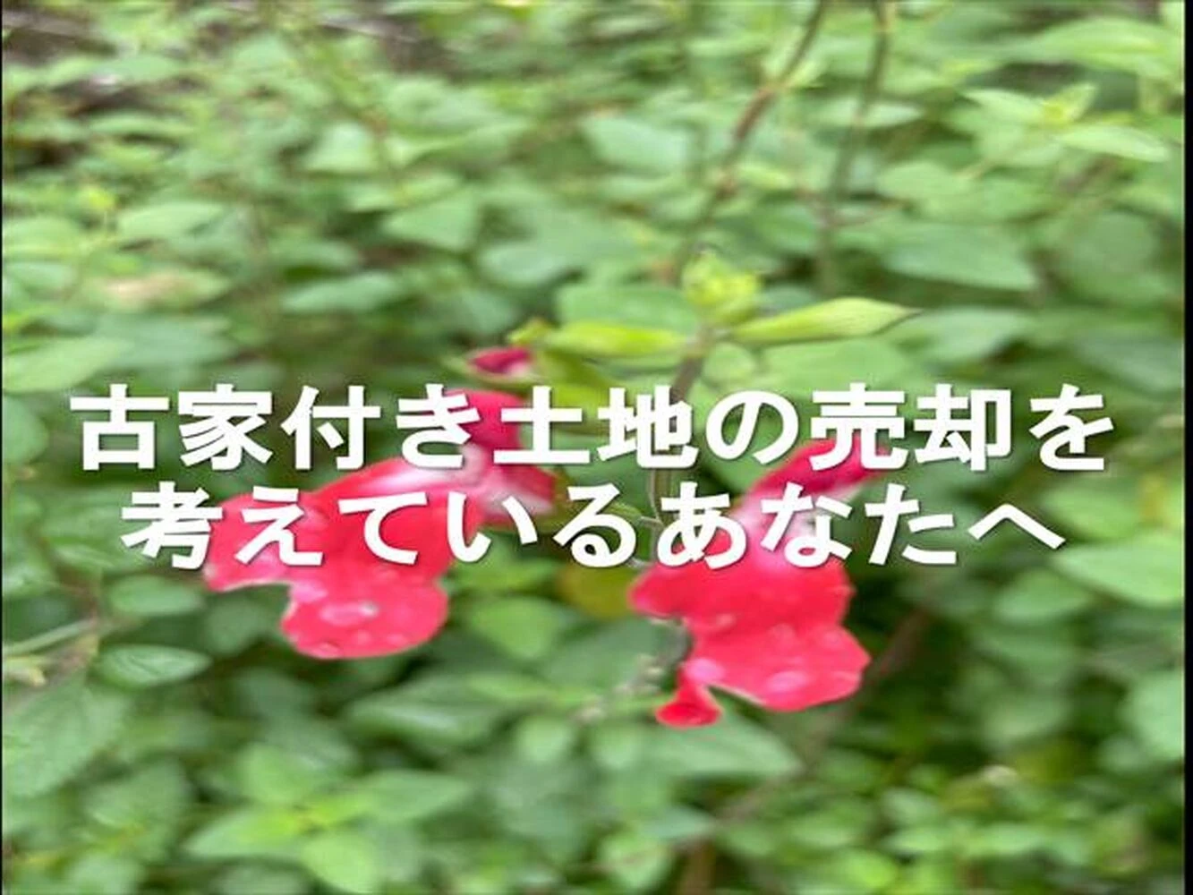 画像6912