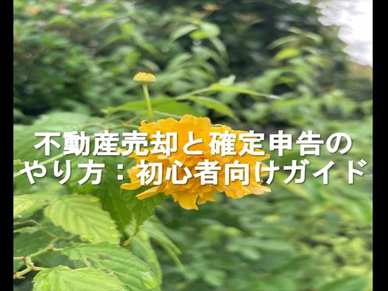 画像6988
