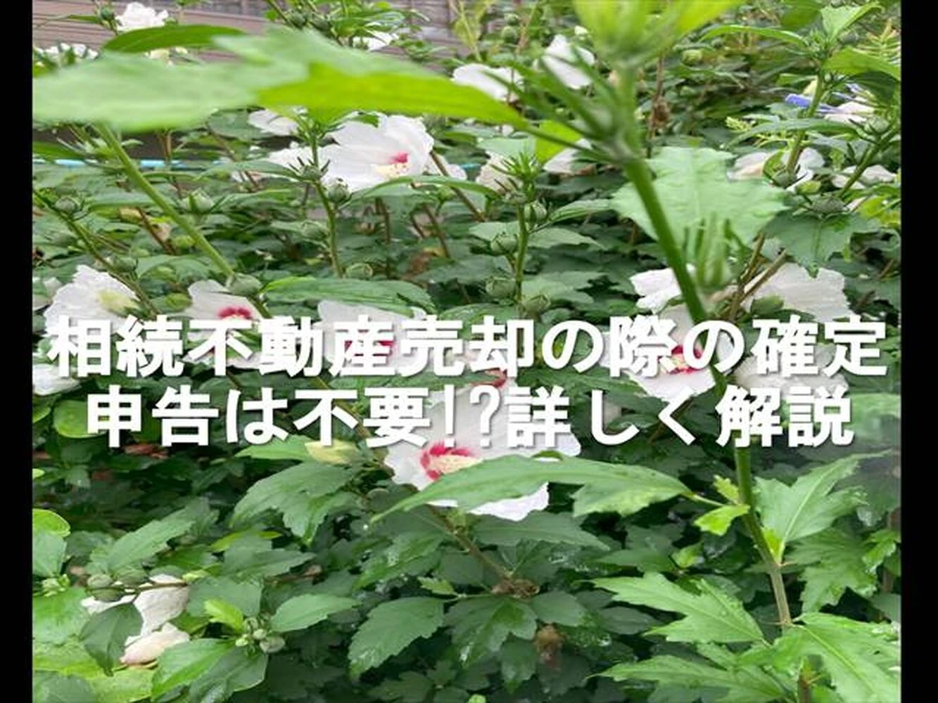 画像7146