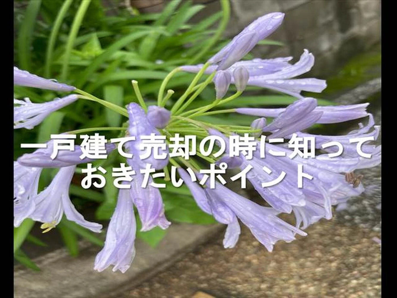 画像7186