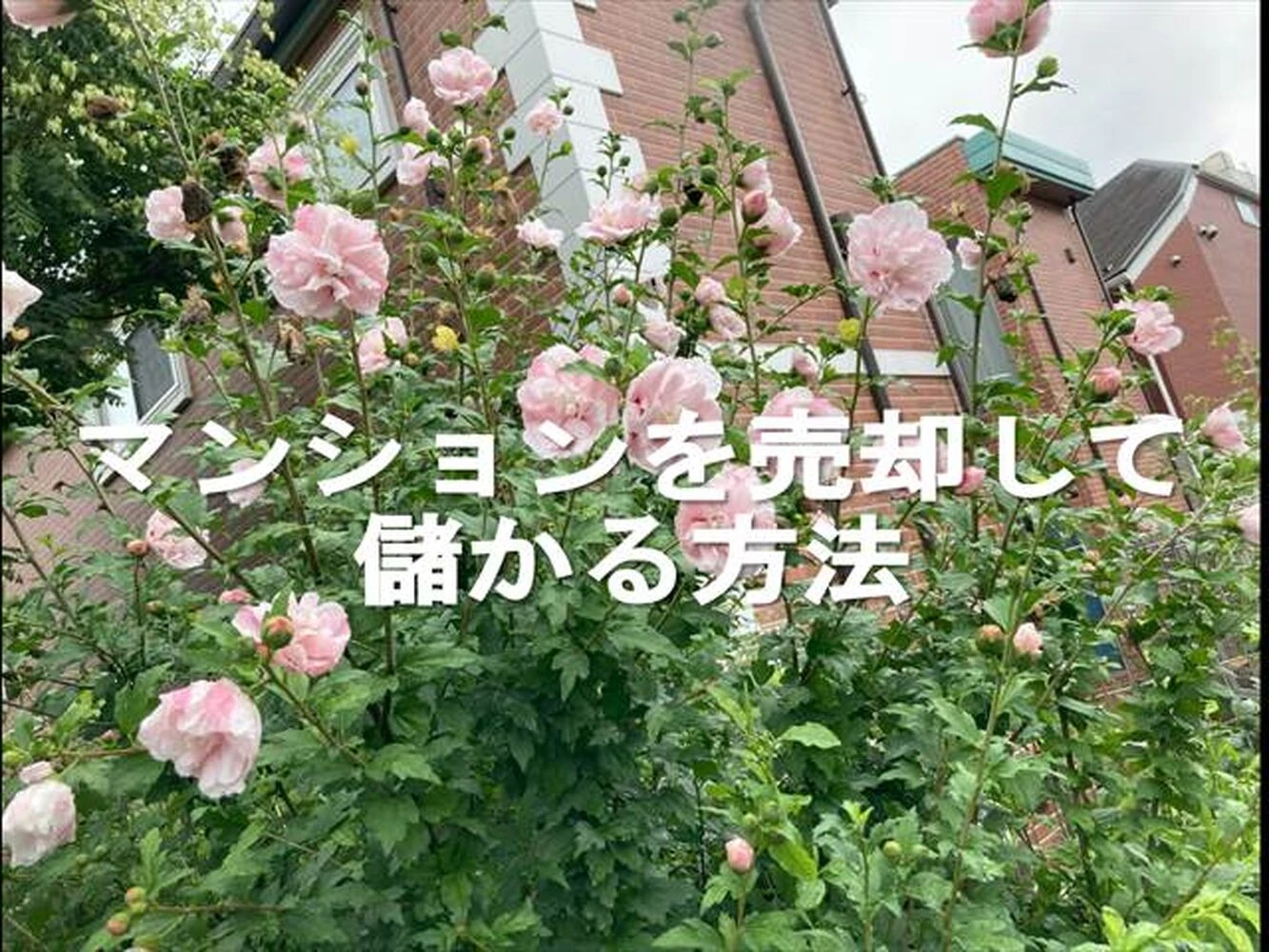 画像7257
