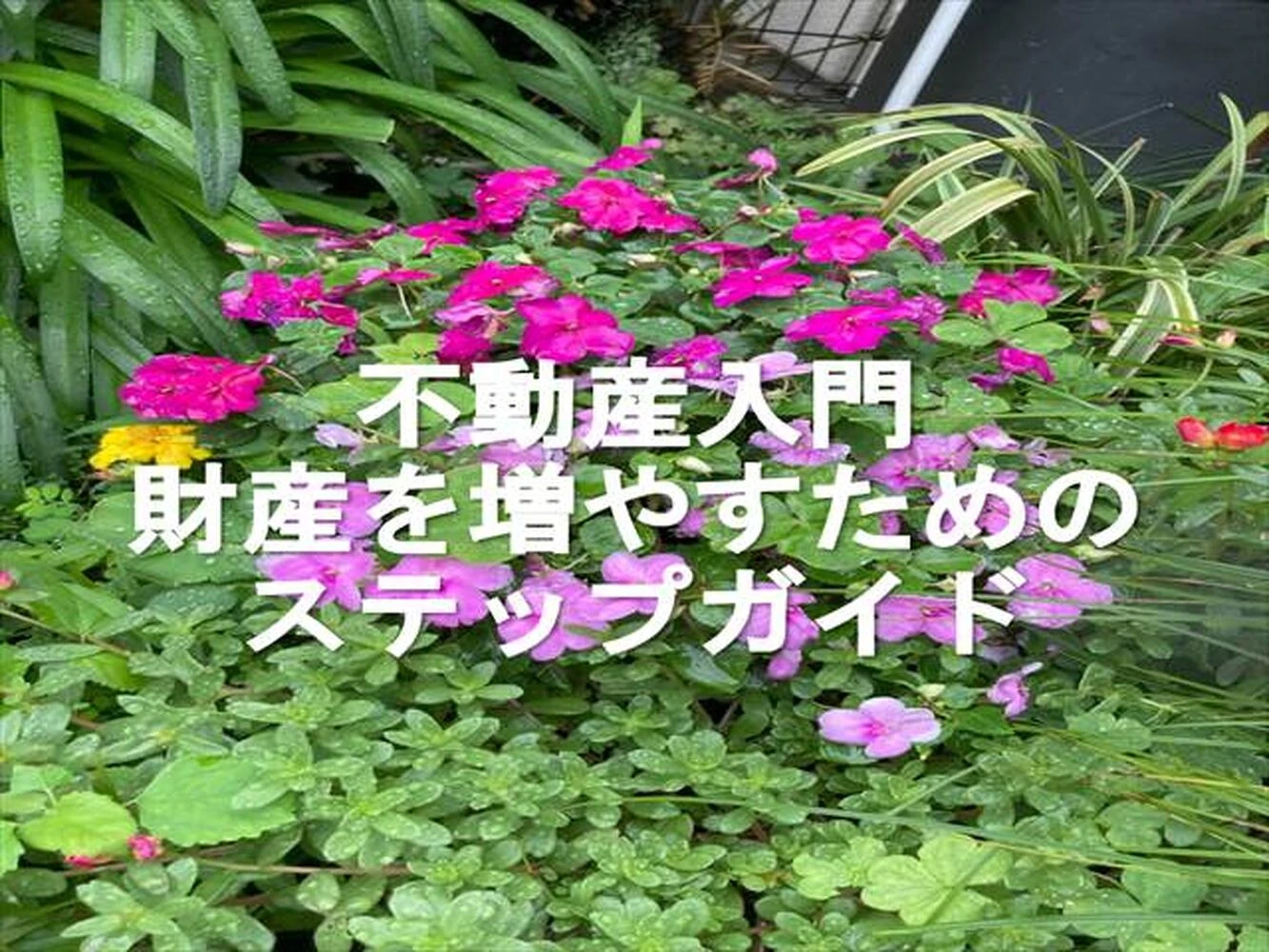 画像7296