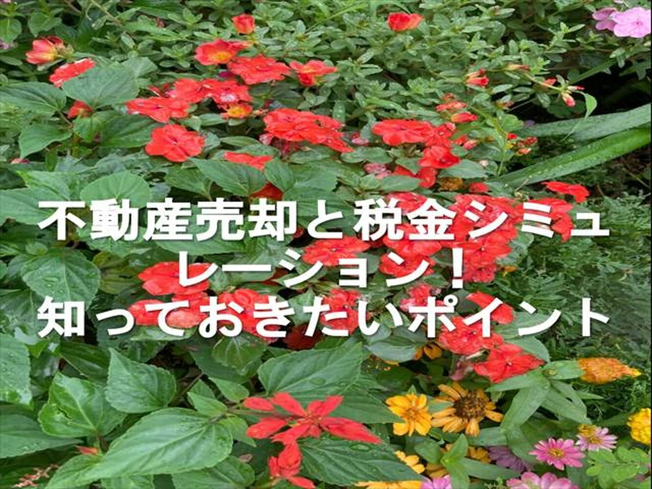 画像7479